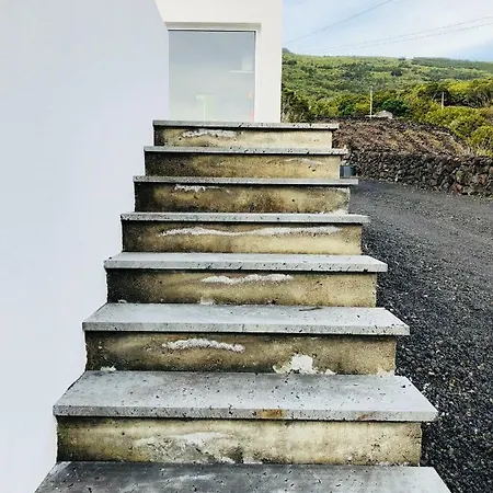 בית הארחה Casa Da Rocha Terra do Pão