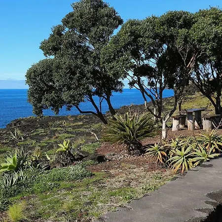 בית הארחה Casa Da Rocha Terra do Pão