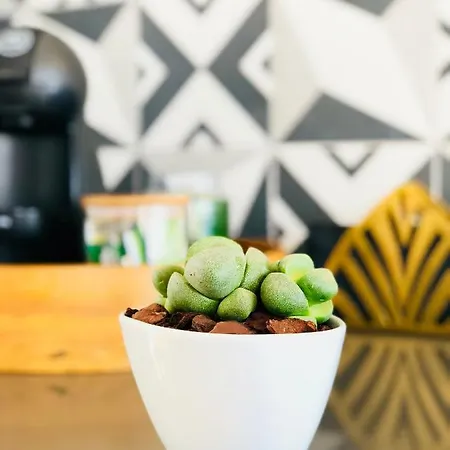 Casa Da Rocha Konukevi 4*