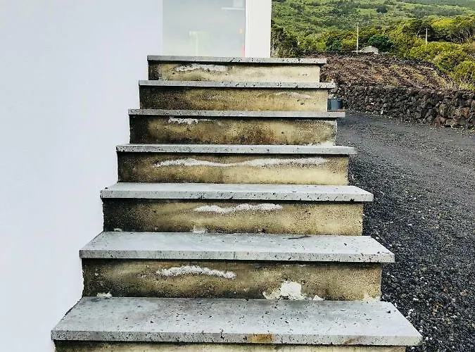 ゲストハウス Casa Da Rocha Terra do Pão