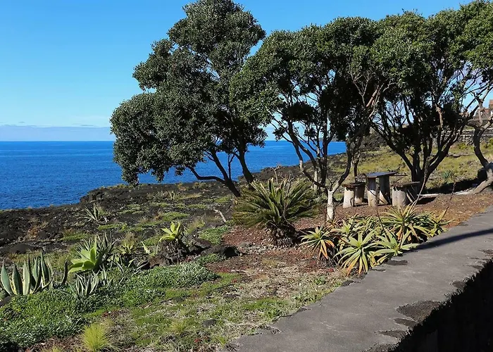 ゲストハウス Casa Da Rocha Terra do Pão