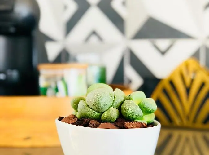 Casa Da Rocha ゲストハウス 4*